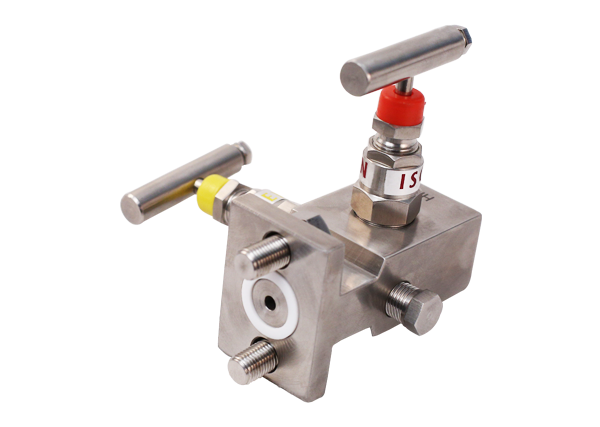 2 way manifold-2 yollu vana-2 yollu manifold