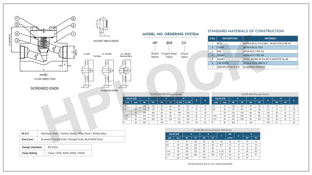 Forged Steel Check valve HP809CV- Dövme Çekvalf - Görsel 2