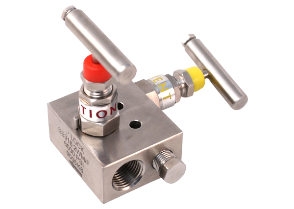 2 way manifold-2 yollu vana-2 yollu manifold-Manometre manifoldu